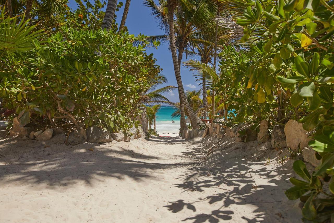 ホテル Dos Ceibas Tulum - Massage & Yoga Inclusive エクステリア 写真