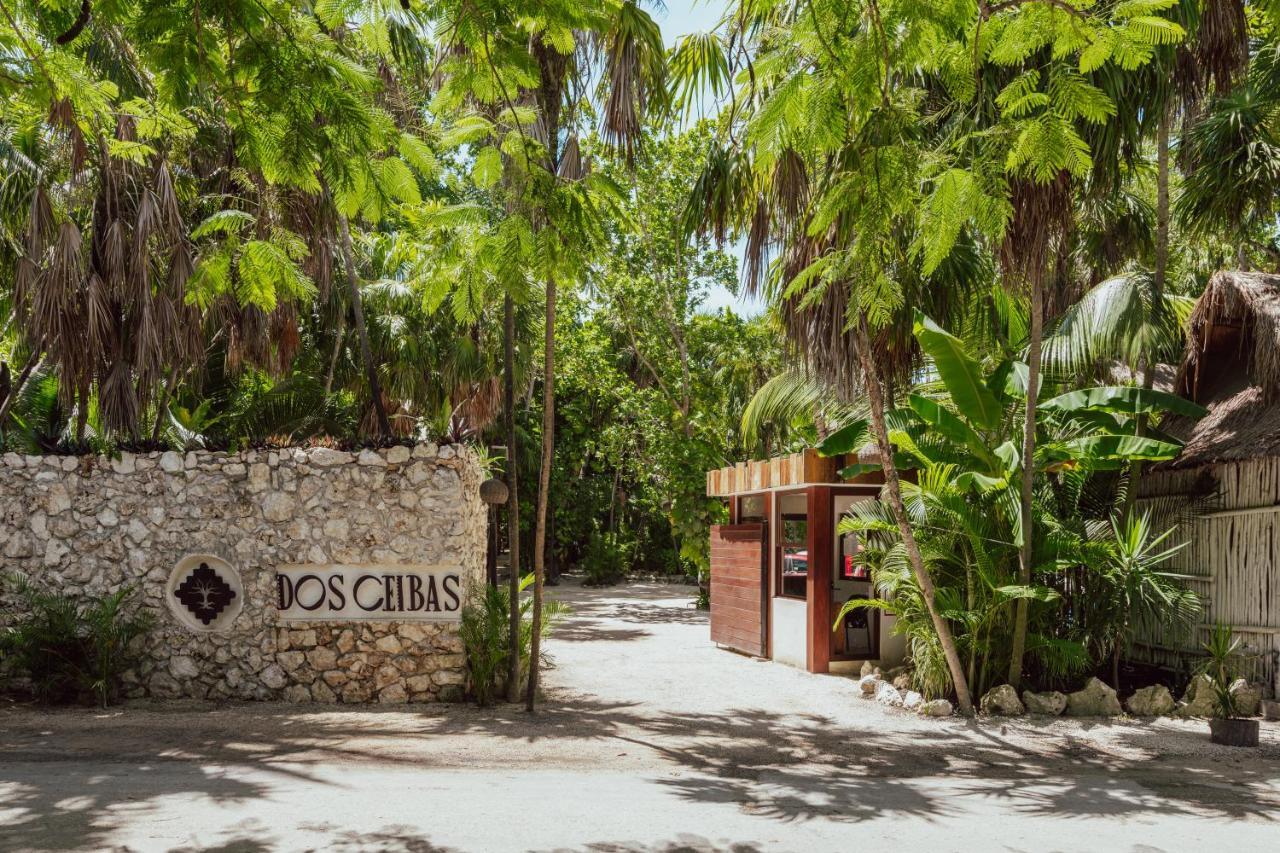 ホテル Dos Ceibas Tulum - Massage & Yoga Inclusive エクステリア 写真