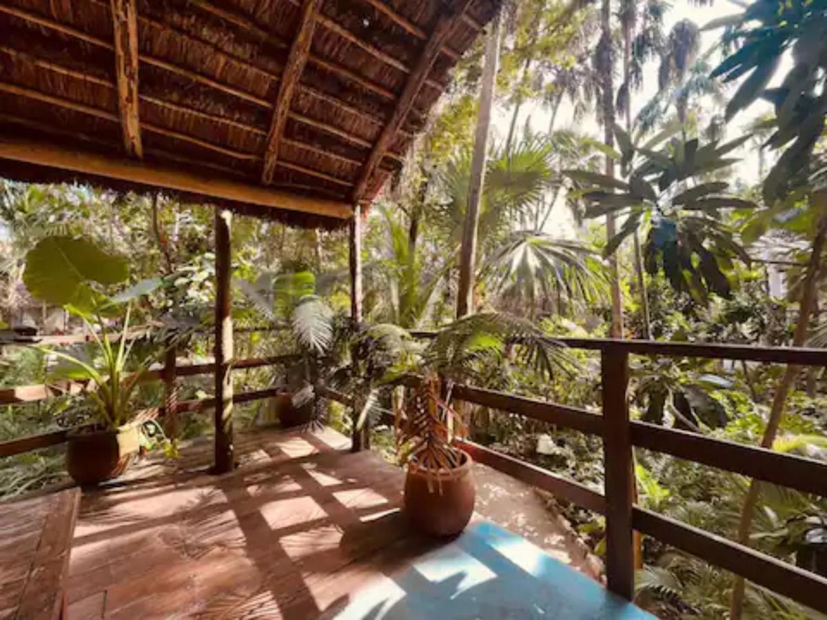 ホテル Dos Ceibas Tulum - Massage & Yoga Inclusive エクステリア 写真