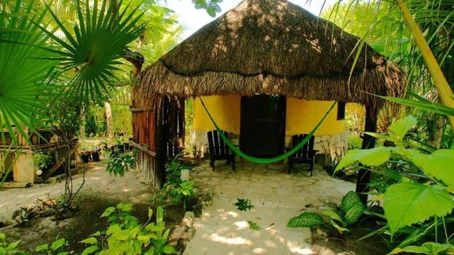 ホテル Dos Ceibas Tulum - Massage & Yoga Inclusive エクステリア 写真