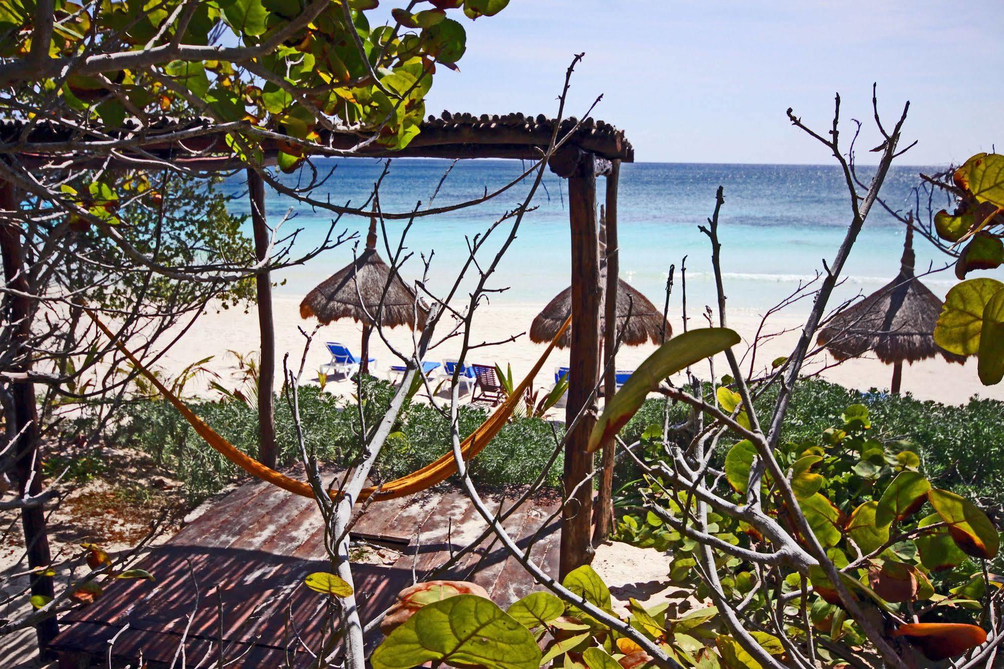 ホテル Dos Ceibas Tulum - Massage & Yoga Inclusive エクステリア 写真