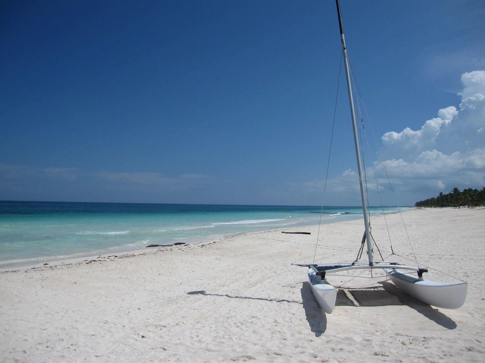 ホテル Dos Ceibas Tulum - Massage & Yoga Inclusive エクステリア 写真